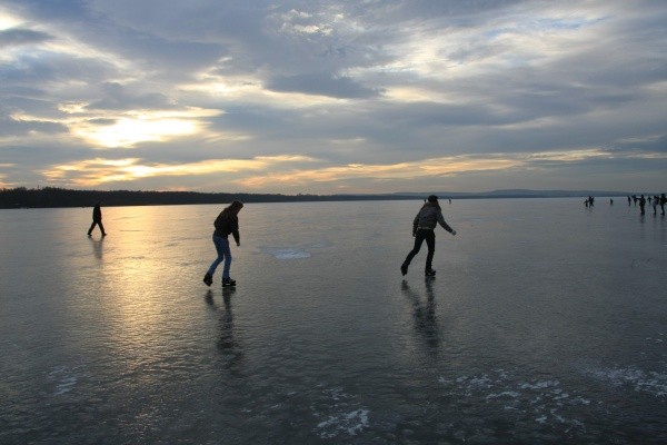 Steinhuder Meer  020.jpg